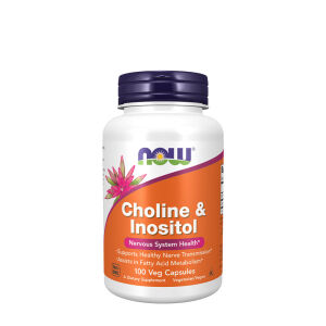 Choline & Inositol 500 mg - Viking Supplements