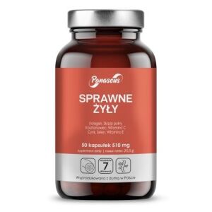 PANASEUS Efficient Veins (50 capsules) - Viking Supplements