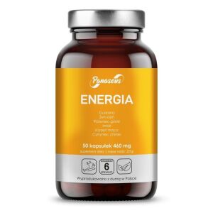 PANASEUS Energy (50 caps) - Viking Supplements