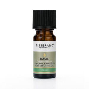TISSERAND AROMATHERAPY Basil Ethically Harvested Oil (30 ml / 1 fl. oz.) - Viking Supplements