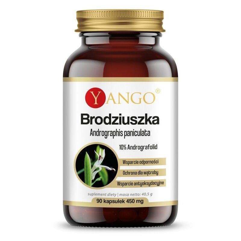 YANGO Andrographis paniculata (90 capsules) - Viking Supplements