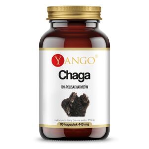 YANGO Chaga - 10% (90 capsules) - Viking Supplements