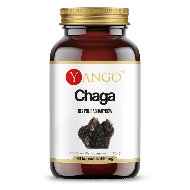 YANGO Chaga - 10% (90 capsules) - Viking Supplements