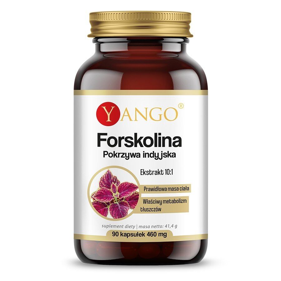 YANGO Forskolin - Coleus Forskohlii (90 capsules) - Viking Supplements