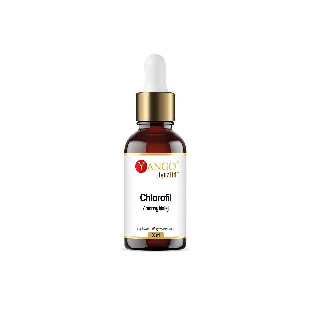 YANGO Witte moerbeiboomchlorofyl in druppels (30 ml / 1 fl. oz.) - Viking Supplements